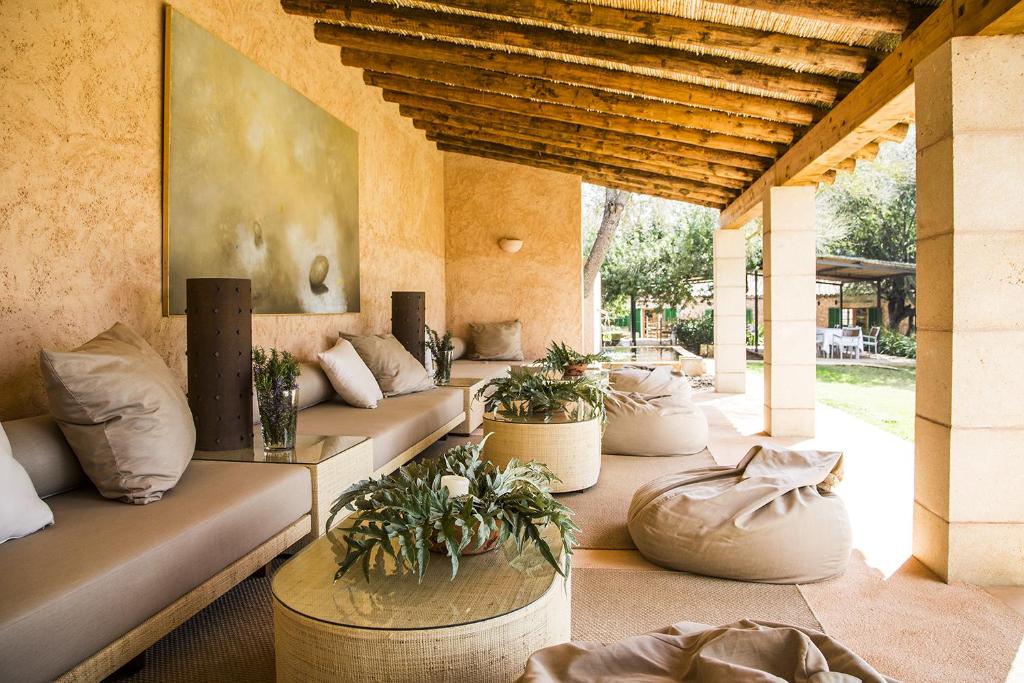 坎波斯卡萨农村宋伯纳迪旅馆的庭院里一排长沙发上种满了植物