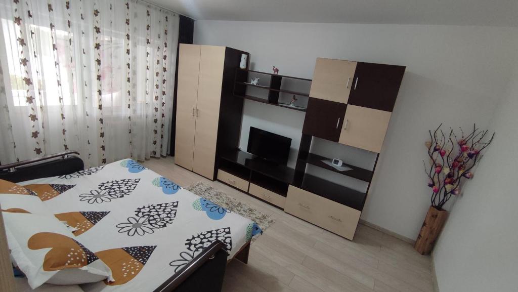拉姆尼库沃尔恰Închiriez garsonieră Regim hotelier的一间卧室配有一张床和一个带电视的橱柜