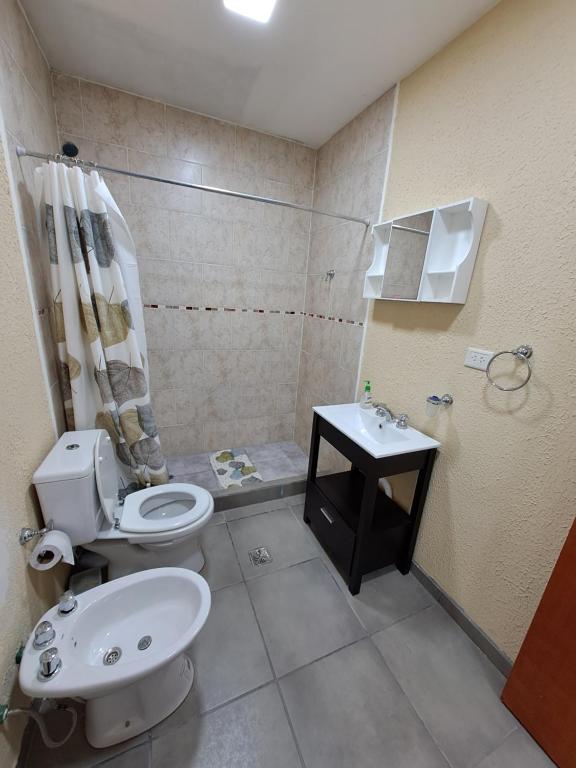 里奥加耶戈斯Vientos del Sur的一间带卫生间和水槽的小浴室