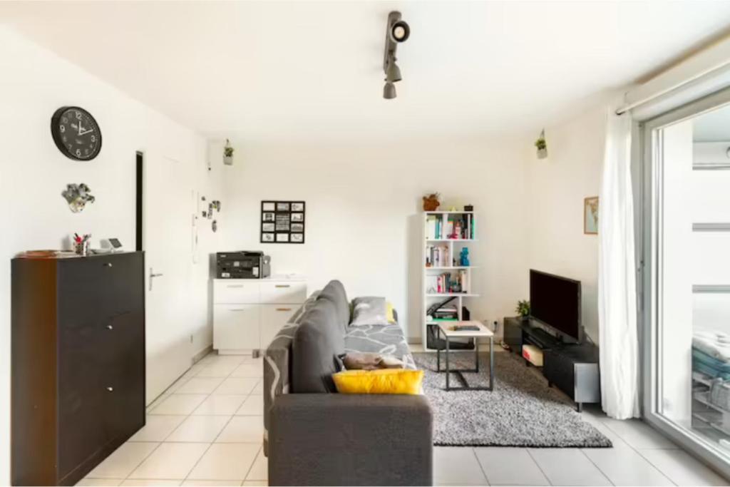 图卢兹Appartement T2 40 m2 - Tout équipé et calme的带沙发和电视的客厅