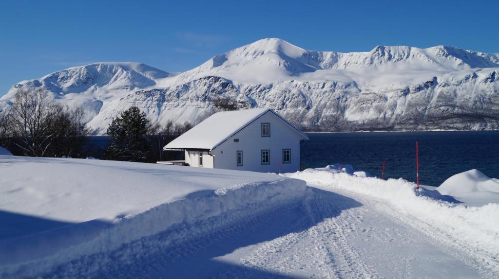 SvensbyHeggelund的山底下雪中的房子