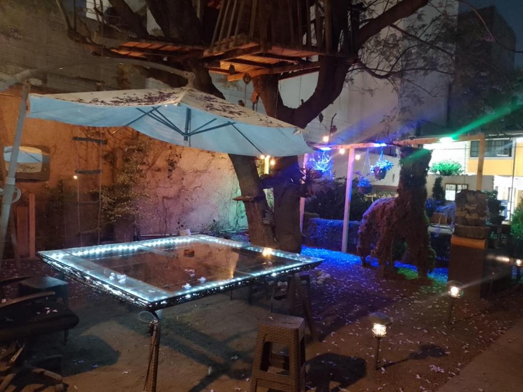 墨西哥城Casita del Árbol的夜晚在院子里放着一把带雨伞的桌子