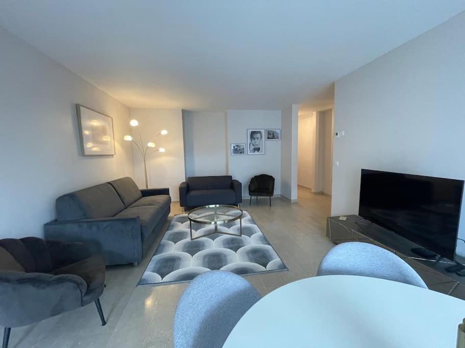 安锡Le Mont-Veyrier, parking et vue的带沙发和平面电视的客厅