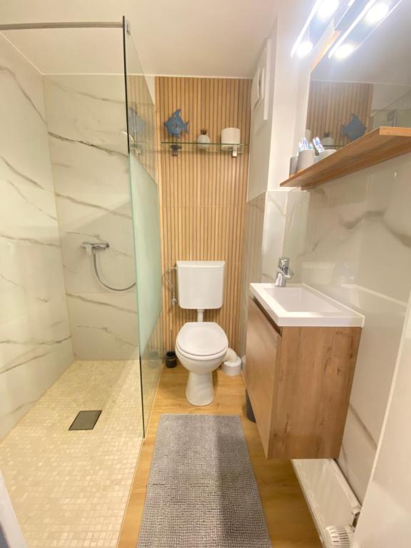 波恩Schulz Apartments Zentrum的一间带卫生间和水槽的浴室