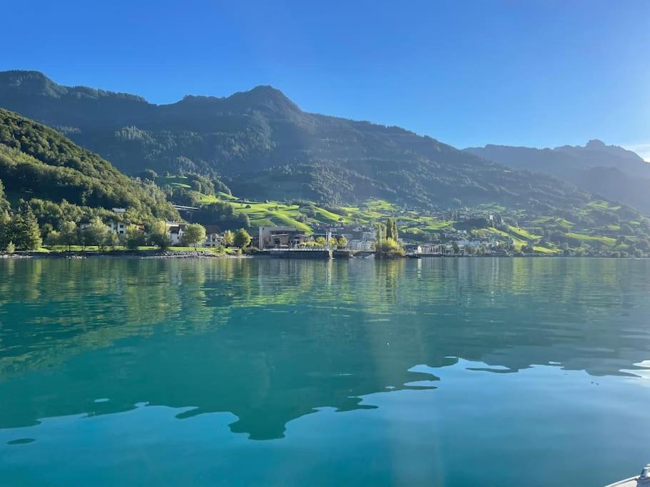 安特特泽Schöne Wohnung in Unterterzen am schönen Walensee的享有以山脉为背景的湖泊美景