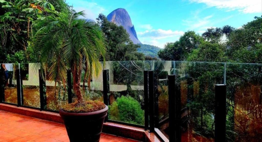 佩德拉阿祖尔Flat Hotel Pedra Azul的阳台上的棕榈树,享有山景