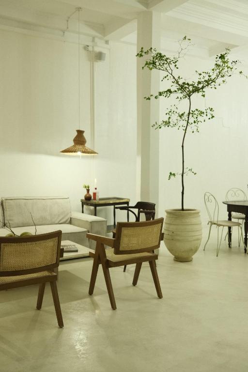 皮特尔角城Maison Victoire, Pointe-à-Pitre的客厅配有沙发,绿树在花瓶里