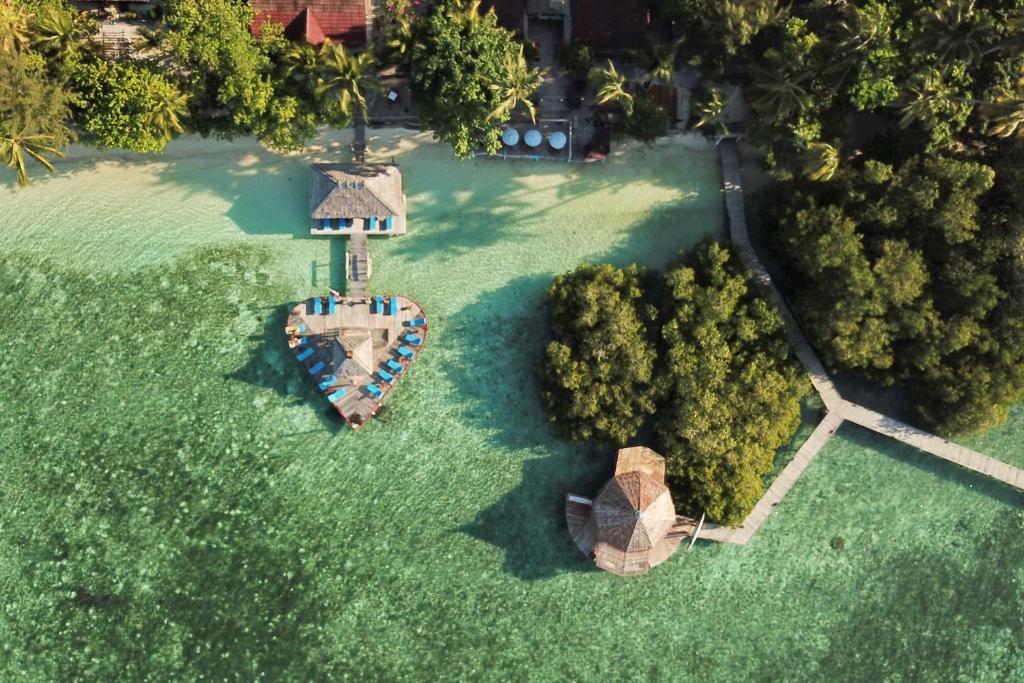 Pulau Mansuar拉贾安帕潜水旅馆的草场上房子的空中景观