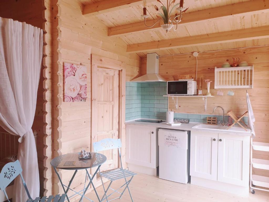 萨维尔纳Le Cottage OneHeart的小屋内的厨房配有冰箱和桌子