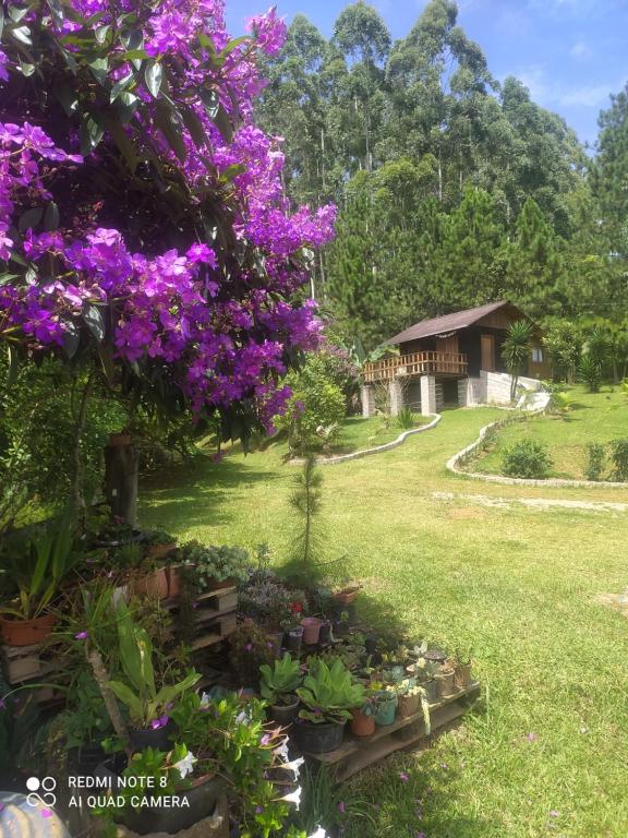 LontrasVila Sol Cabana的鲜花盛开的花园,后方的房子
