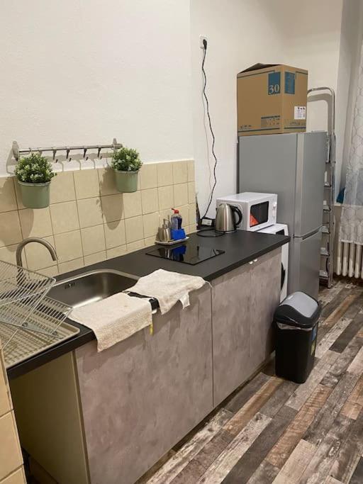 柏林Căn hộ có đầy đủ tiện nghi的厨房配有水槽和冰箱