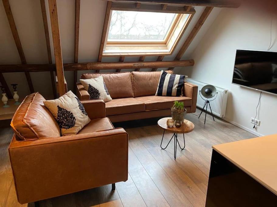 巴勒姆Ballumerhoeve Petit lodge的客厅设有棕色的沙发和窗户。