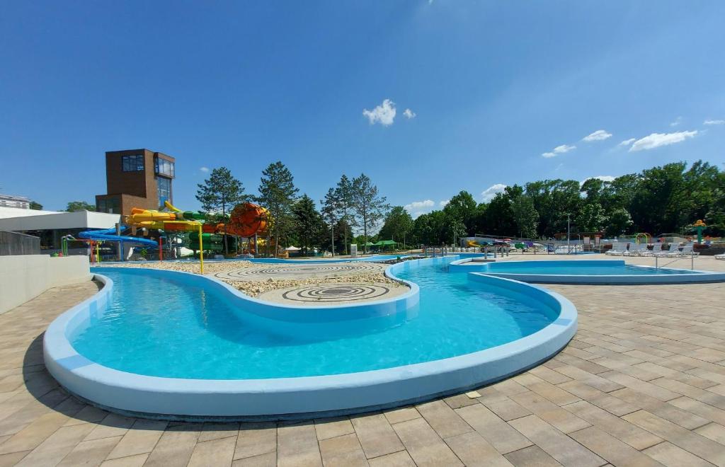 Poľný KesovCeremoniár的蓝色公园中的游泳池