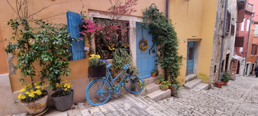 罗维尼Casa 39 Apartments的停在鲜花建筑前面的一辆蓝色自行车