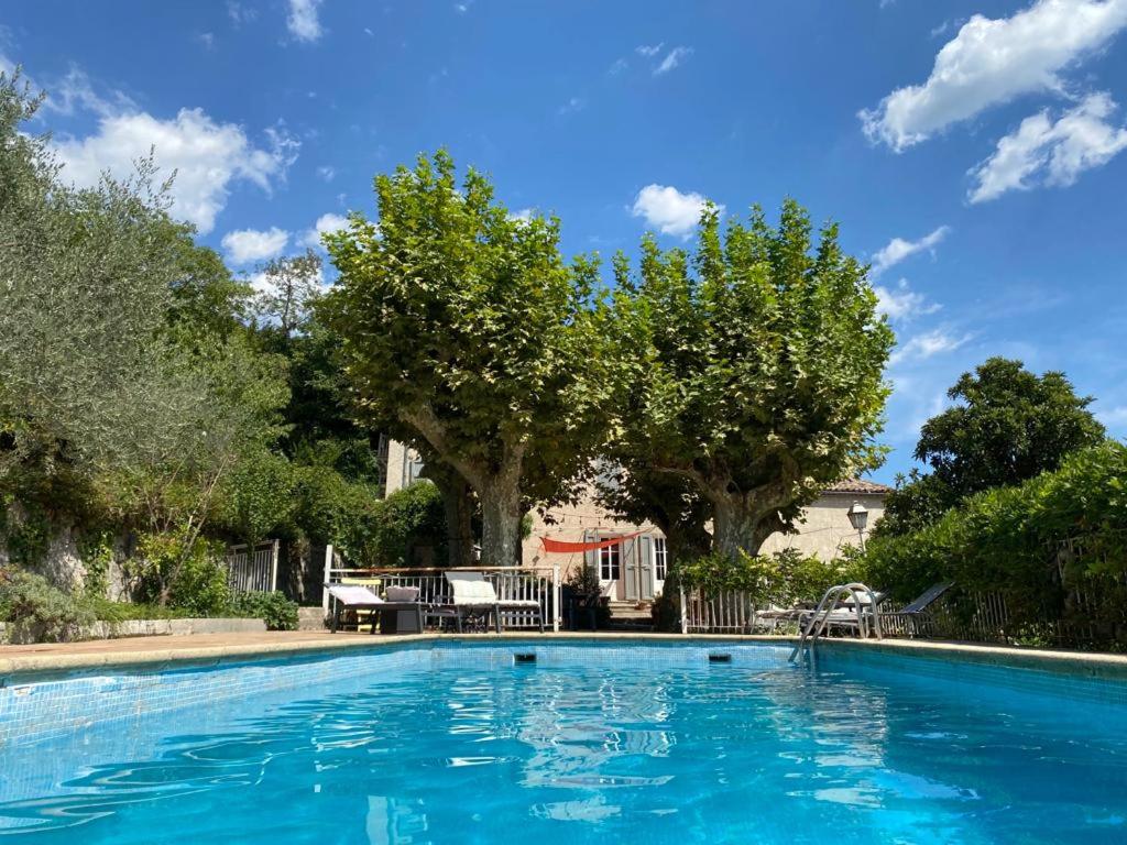 皮热泰涅尔Mas Bella Vida的拥有蓝色海水和树木的游泳池