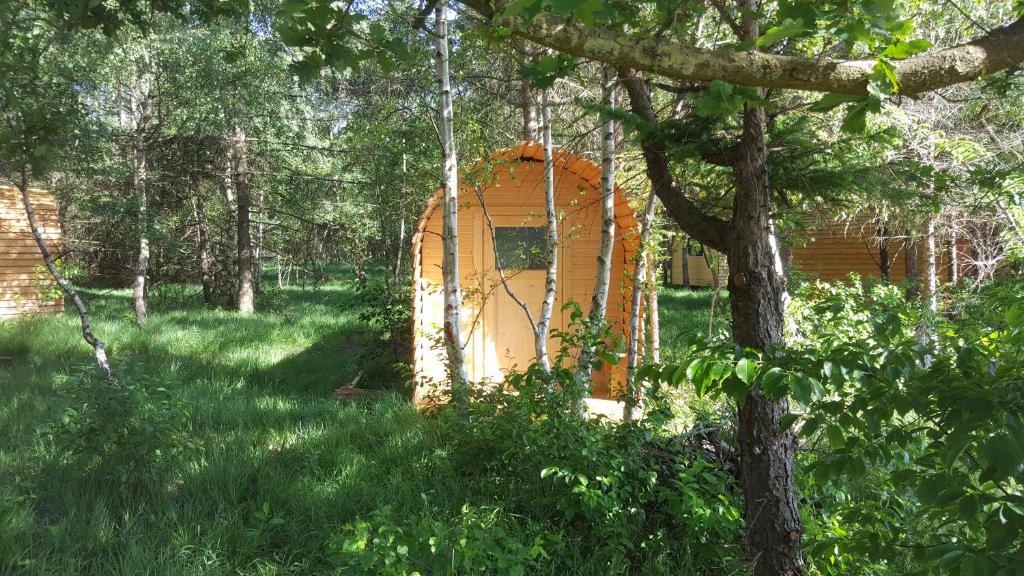诺尔德霍尔茨Glamping Pod im Wald mit Einzelbetten的草丛中间的橙色门