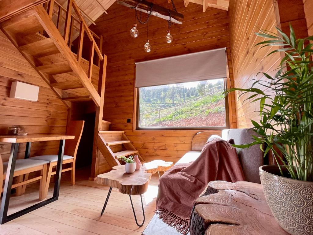 丰沙尔Mountain Eco Shelter 5的小屋内配有沙发和桌子的房间