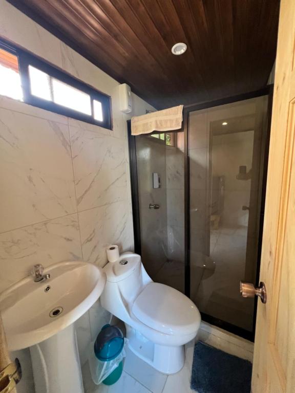 图里亚尔瓦Casa Tucan Glamping的浴室配有卫生间、盥洗盆和淋浴。