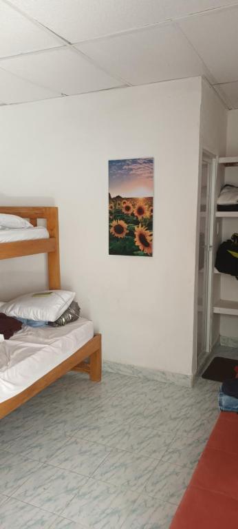 SantiagoGirasoles Tolu的客房设有两张双层床,墙上挂着一幅画