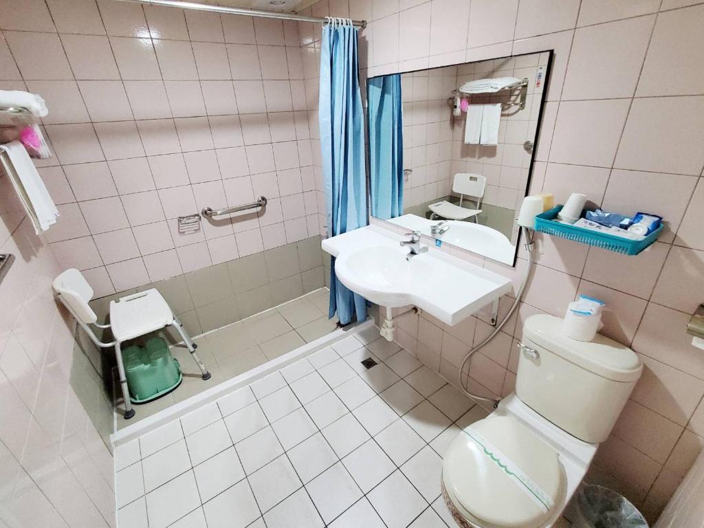 台南桦谷大饭店的一间带卫生间和水槽的浴室