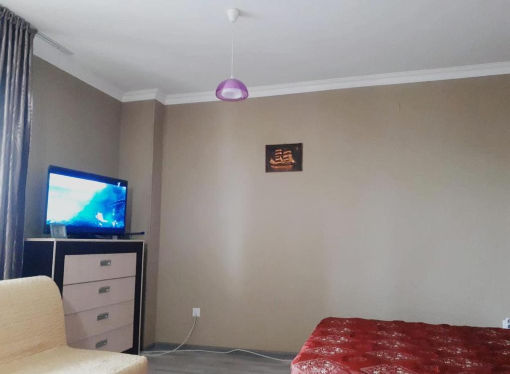 阿斯塔纳Zhenis street的一间卧室配有一张床,墙上配有电视
