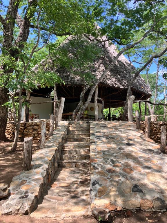 KisakiLemara Eco Camp的一座带楼梯的度假村,通往一座树木繁茂的建筑