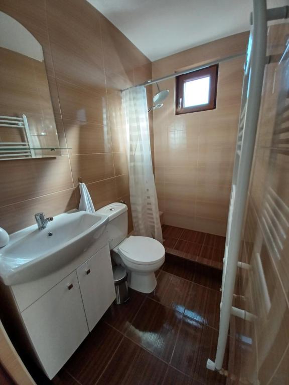 CălugăriPensiune lângă Mănăstirea Izbuc的浴室配有白色水槽和卫生间。