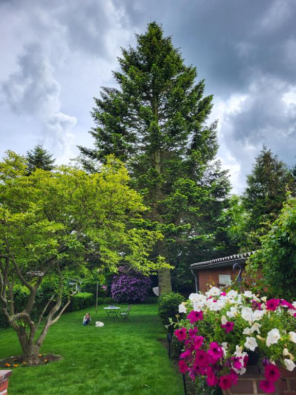 海德Westküste Ferienwohnung的花园,花粉色,白花,树