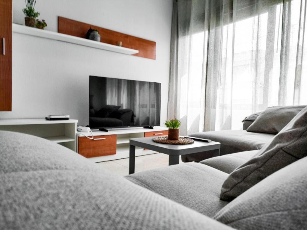 拉拉古纳Céntrico apartamento de 2 dormitorios en La Laguna的带沙发和电视的客厅