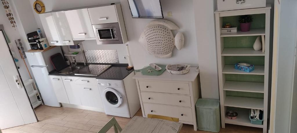 圣玛丽亚港Loft El pez blanco的厨房配有洗衣机和洗衣机。