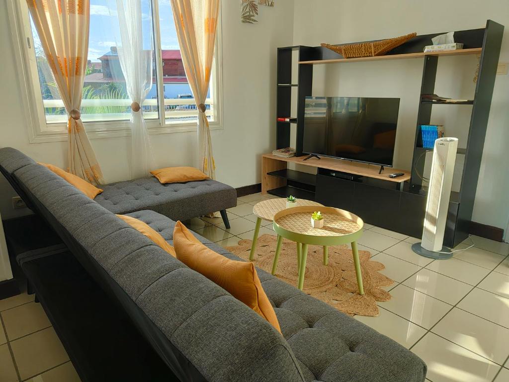 圣玛丽Appartement T2 - Sainte-Marie - 10 min de l'aéroport的带沙发和电视的客厅