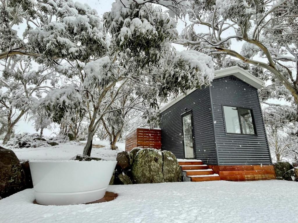 MoonbahMoonbah Escapez的树前有雪覆盖的小房子