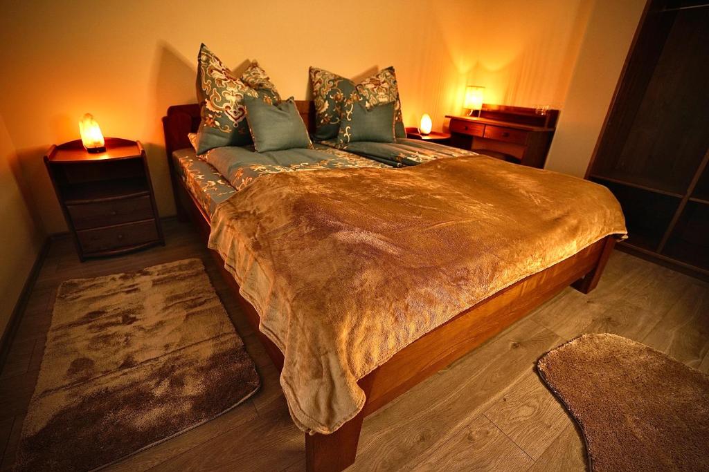 多瑙豪劳斯蒂Bacchus Pub és Panzió的一间卧室配有一张带2个床头柜的大床