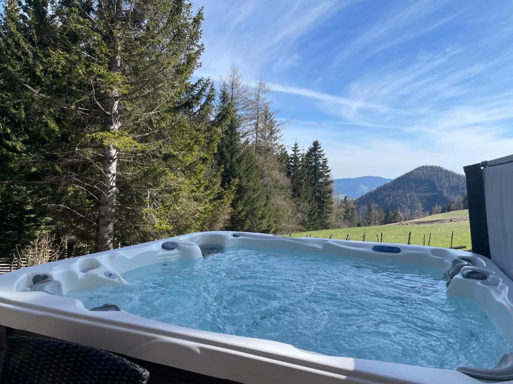泰哈姆山麓弗拉德尼茨Teichalm Lodge Landhaus的享有田野景色的按摩浴缸