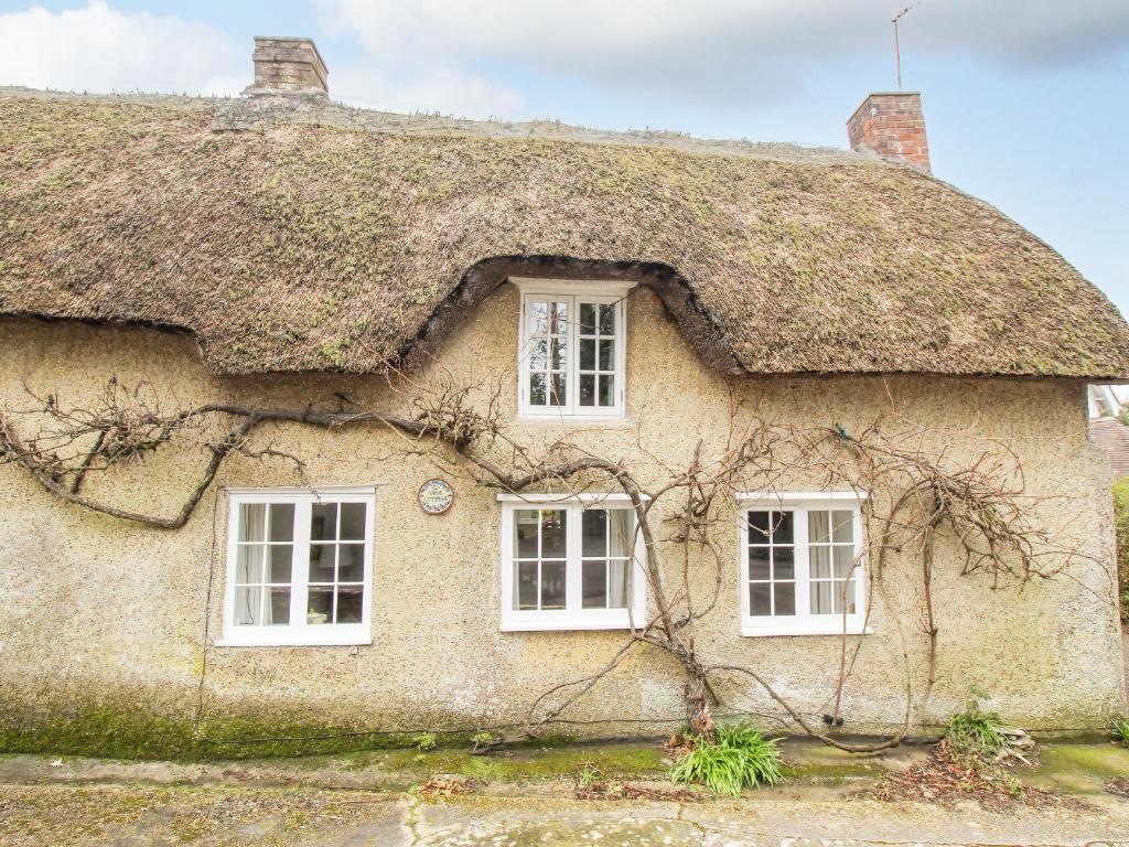 斯塔德兰Vine Cottage的茅草屋顶房屋,设有白色窗户