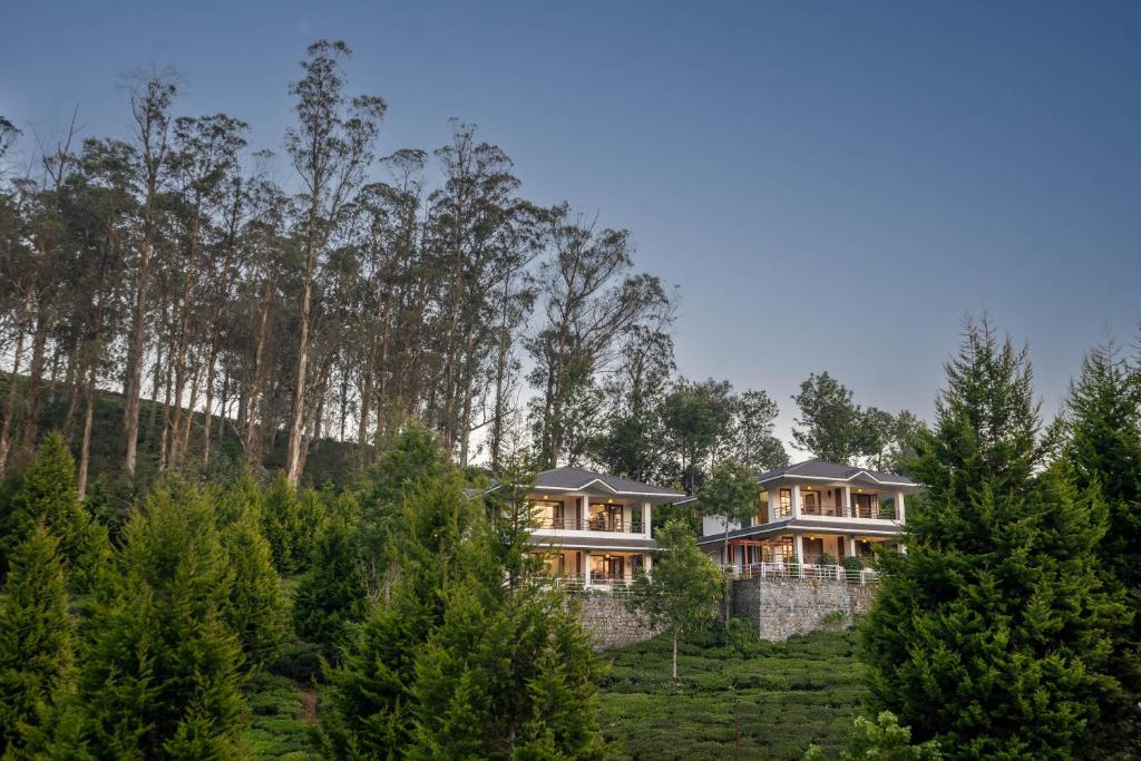 科塔吉里Green Nest Resort Ooty的森林中的房子