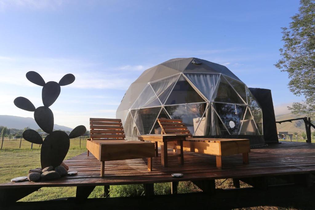 塔菲德尔瓦勒Glamping Tafí del valle的iguanauanauanauanauanauanauanauanauanauanauanauanaauanaauanaauanaanaaaanaaaaaaaaaaaaaaaaaaaaaaaaaaaaaaaaaaaaaaaaaaaaaaaaaaaaaaaaaaaaaaaaaaaaaaaaaaaaaaaaaaaaaaaaaaaaaaaaaaaaaaaaaaaaaaaaaaaaaaaaaaaaaaaaaaaaaaaaaaaaaaaaaaaaaaaaaaaaaaaaaaaaaaaaaaaaaaaaaaaaaaaaaaaaaaaaaaaaaaaaaaaaaaaaaaaaaaaaaaa