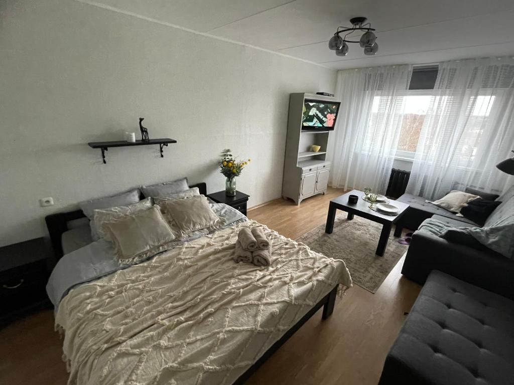 TapaTapa Guest Apartment的一间卧室,卧室里配有一张床,猫坐在床上