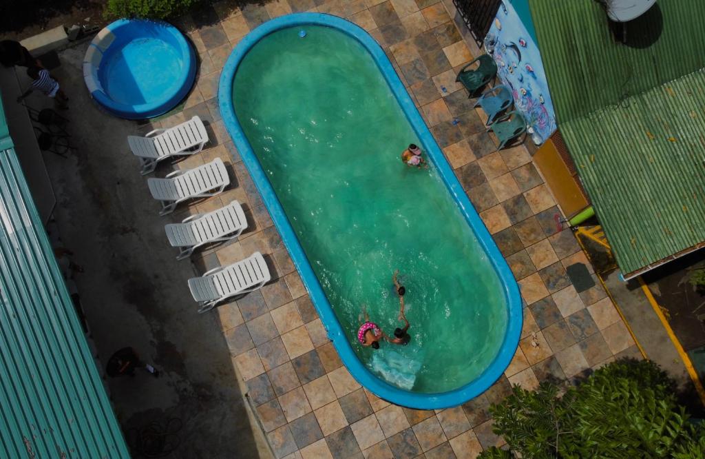 托尔图格罗Los Amigos Jungle Hotel Tortuguero的游泳池的顶部景色,里面的人