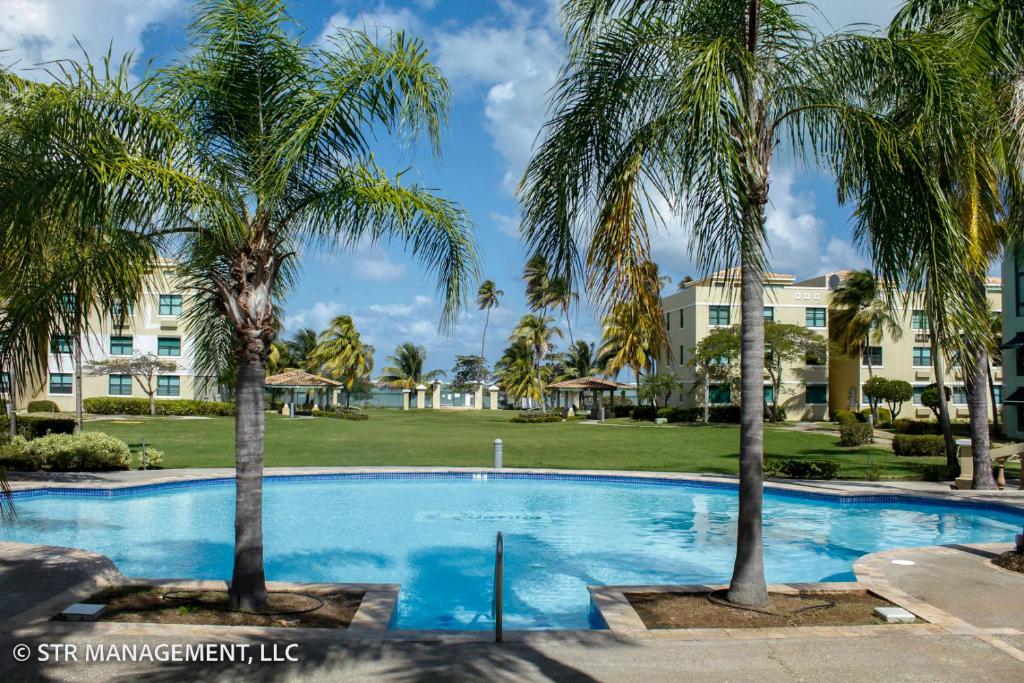 LoizaUpscale Condo at Aquatika Beach & Vacation Villas的一座楼前棕榈树游泳池