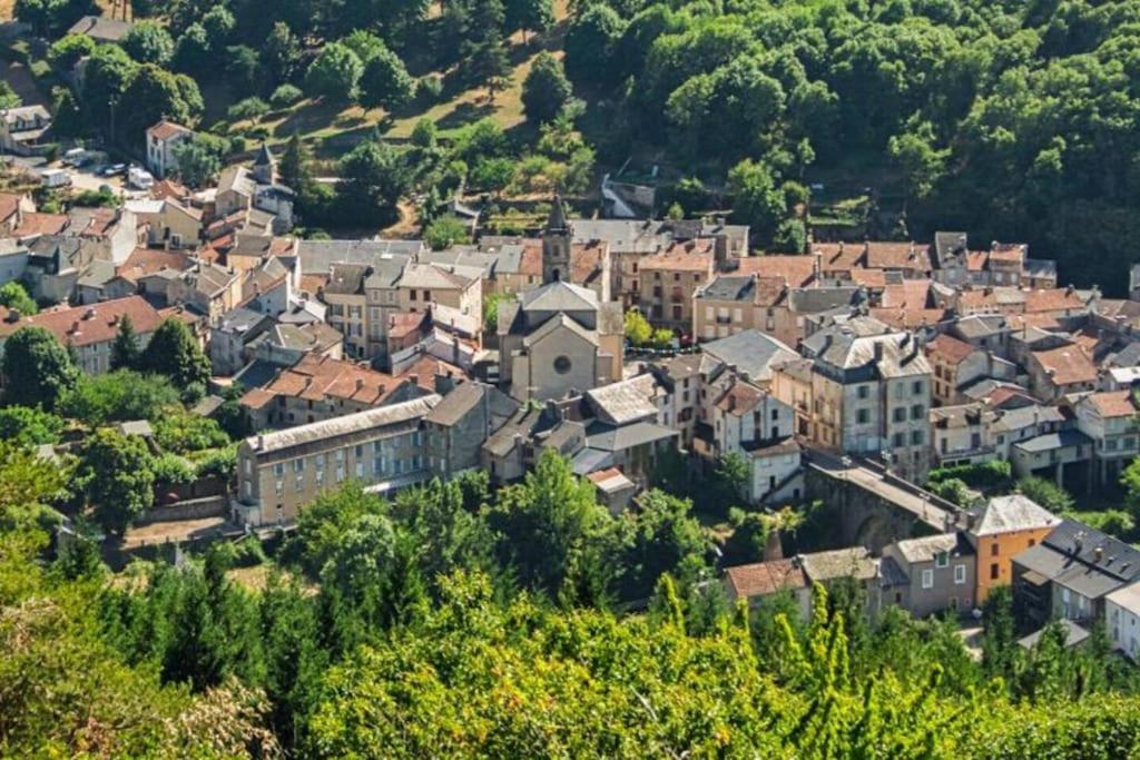 圣让迪布吕耶勒Petit paradis dans l'aveyron的山丘上小镇的空中景色