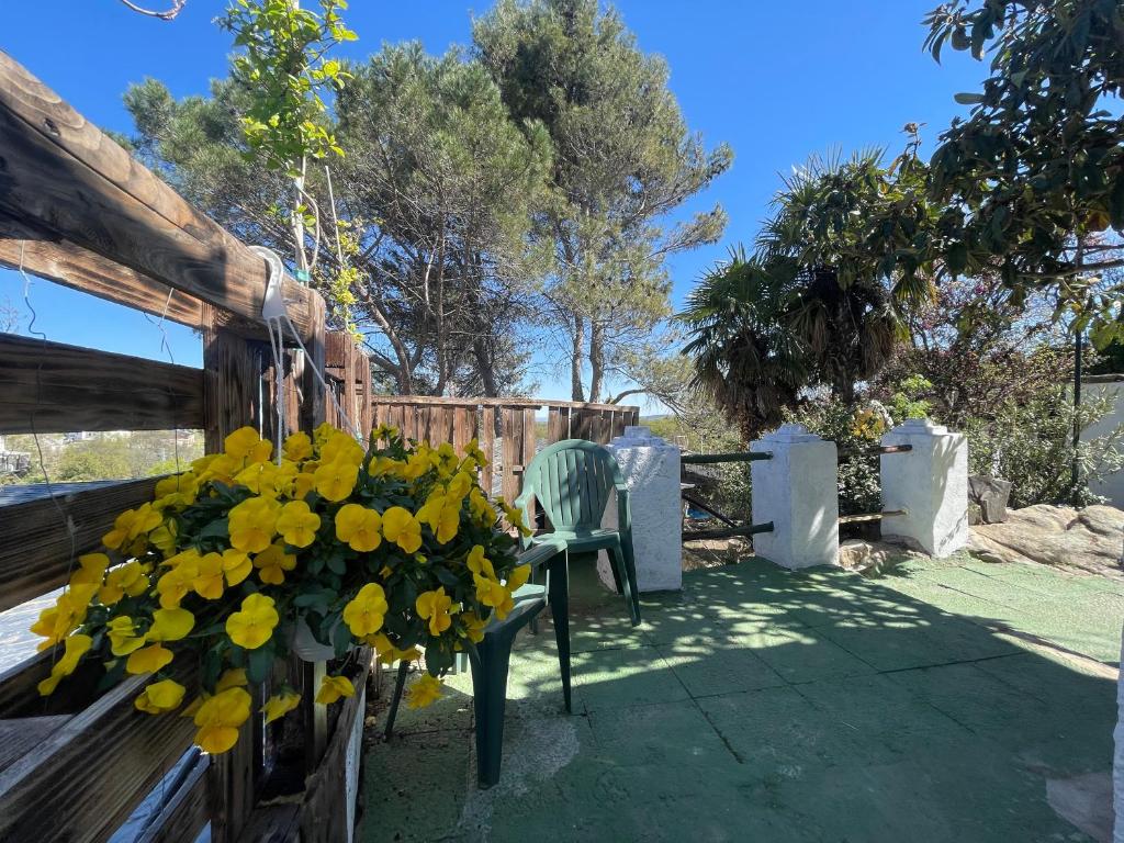 米拉弗洛迪拉希Casa Fidelina II Miraflores de la Sierra的围栏旁一束黄色花的长凳