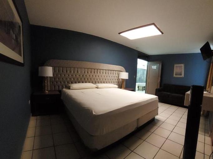 阿瓜斯卡连特斯Hotel el Cortes的一间卧室配有一张大床和一张沙发