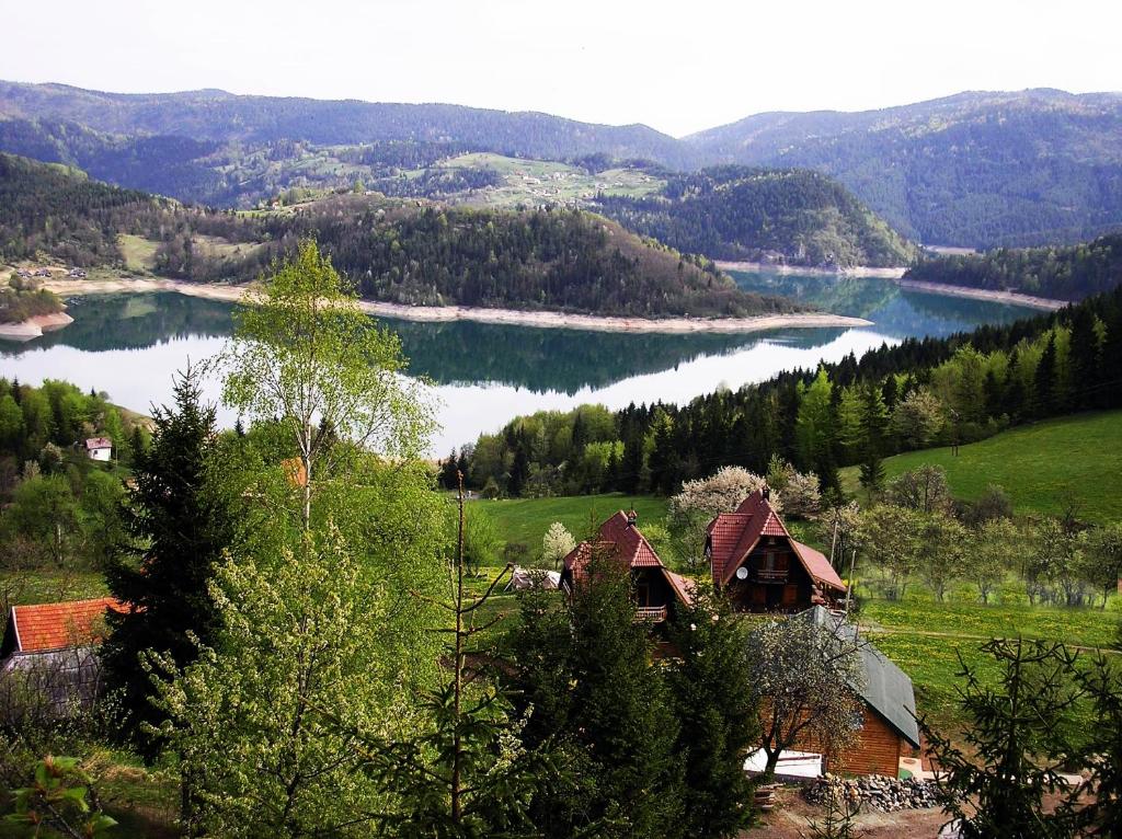ZaovineKonaci Zaovljanska jezera的享有带房屋和树木的湖泊美景