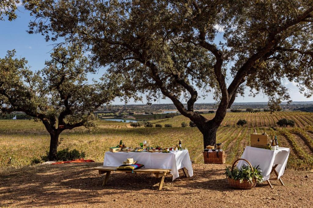 PedrógãoHerdade Do Sobroso Wine & Luxury Boutique Hotel的树木繁茂的田野里的桌椅