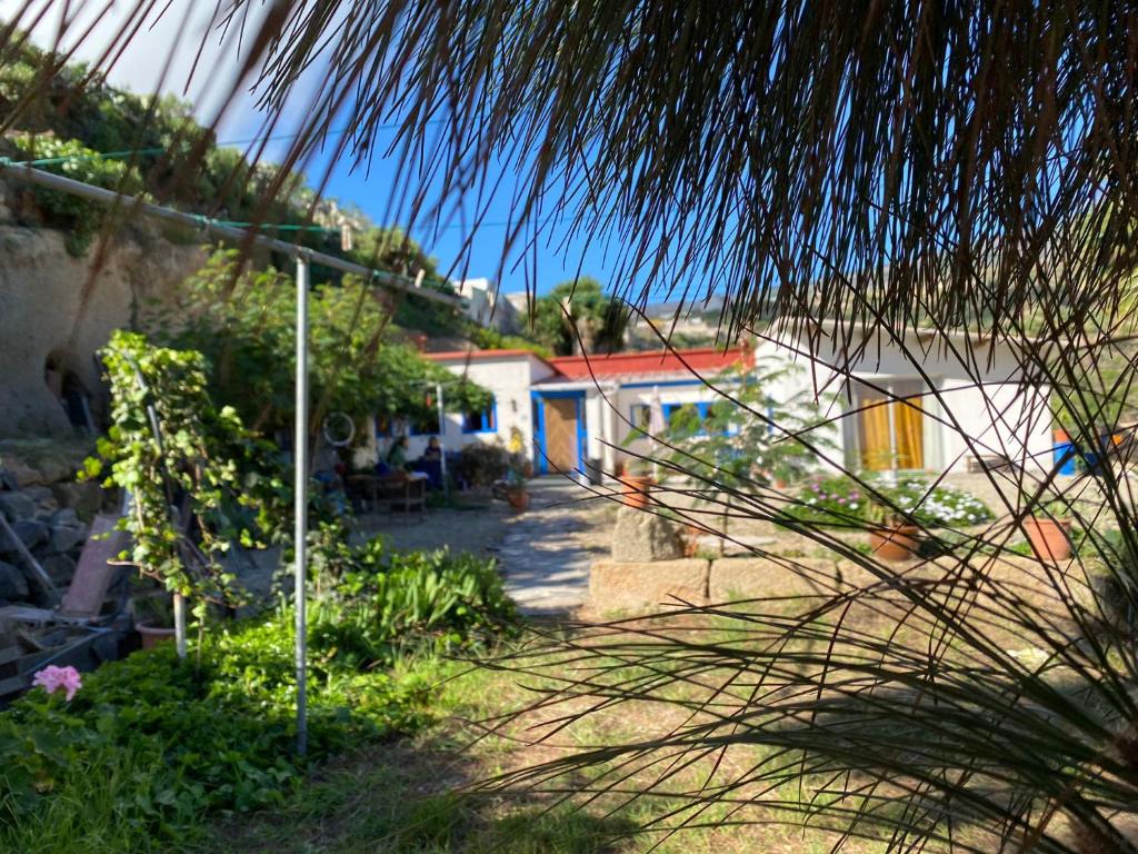 FasniaA peaceful country house in Tenerife的棕榈树房屋的景色