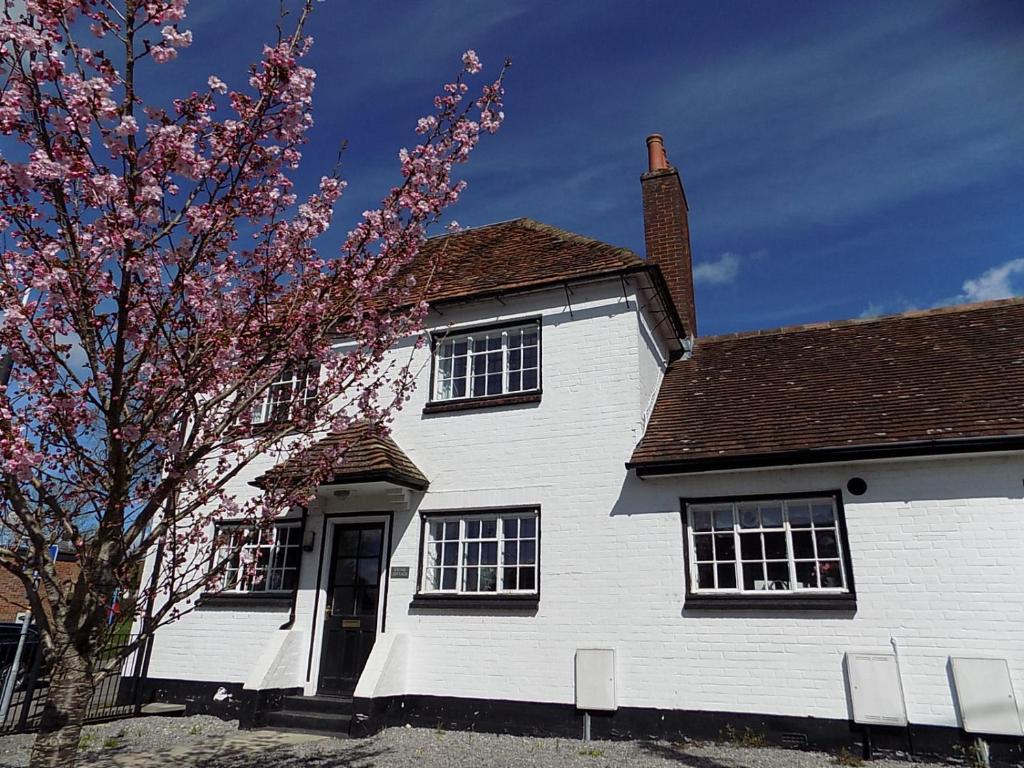 埃姆斯伯里Double Award Winning, Stunning 1700's Grd 2 listed cottage near Stonehenge - Elegantly Refurbished Throughout的前面有一棵树的白色房子