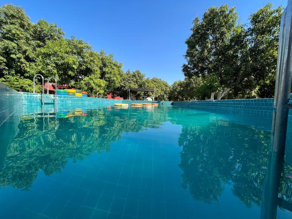 萨三吉尔Amraness Luxury Resort Sasan Gir的拥有蓝色海水和树木的游泳池