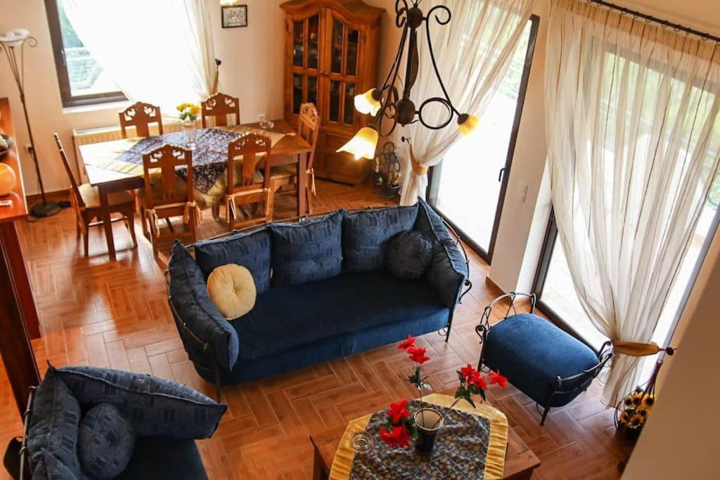 波利蒂卡Nice house in Euboea的客厅配有蓝色的沙发和桌子