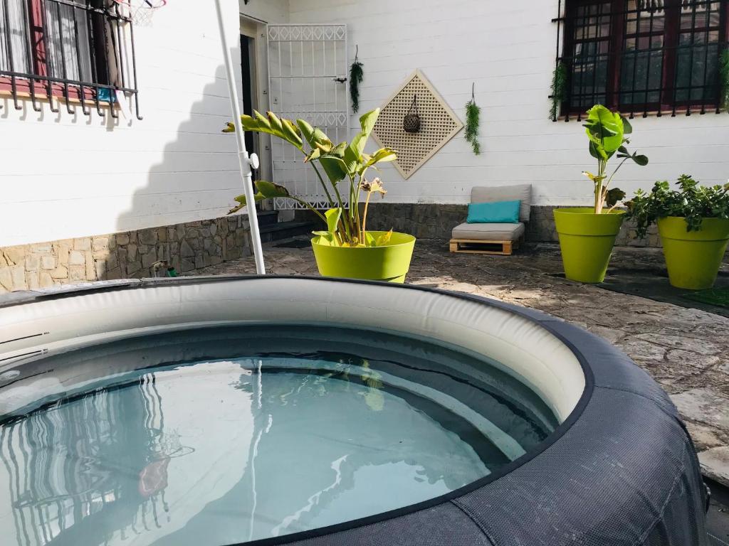 圣玛丽亚港Villa Las Tejas, 3 minutos andando de la playa max 6 personas的一座种植了盆栽植物的院子内的游泳池